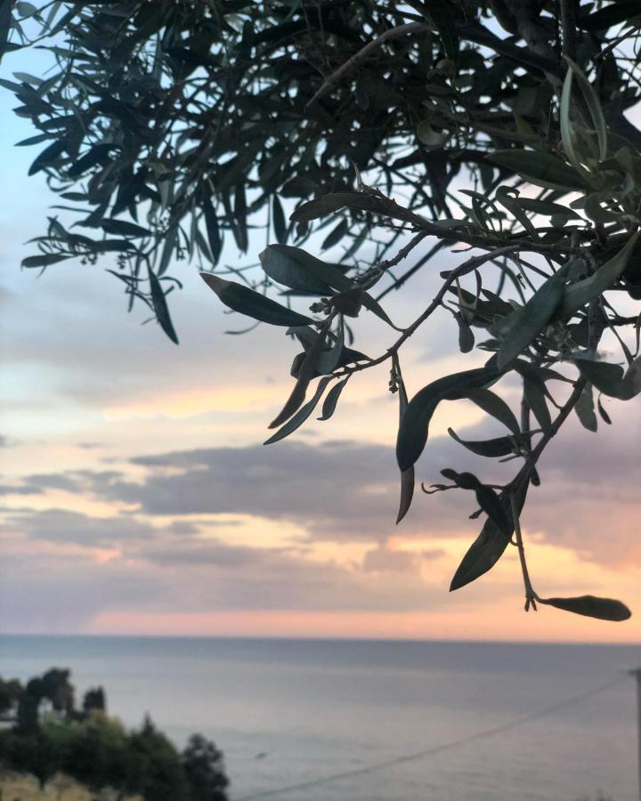 Hotel Senator Ulcinj Exterior foto